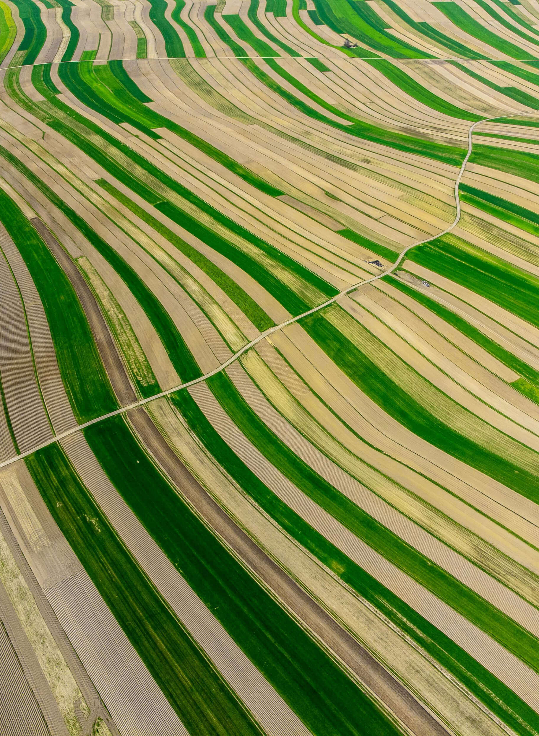 declan sun LFbHzAUCnsc unsplash 1